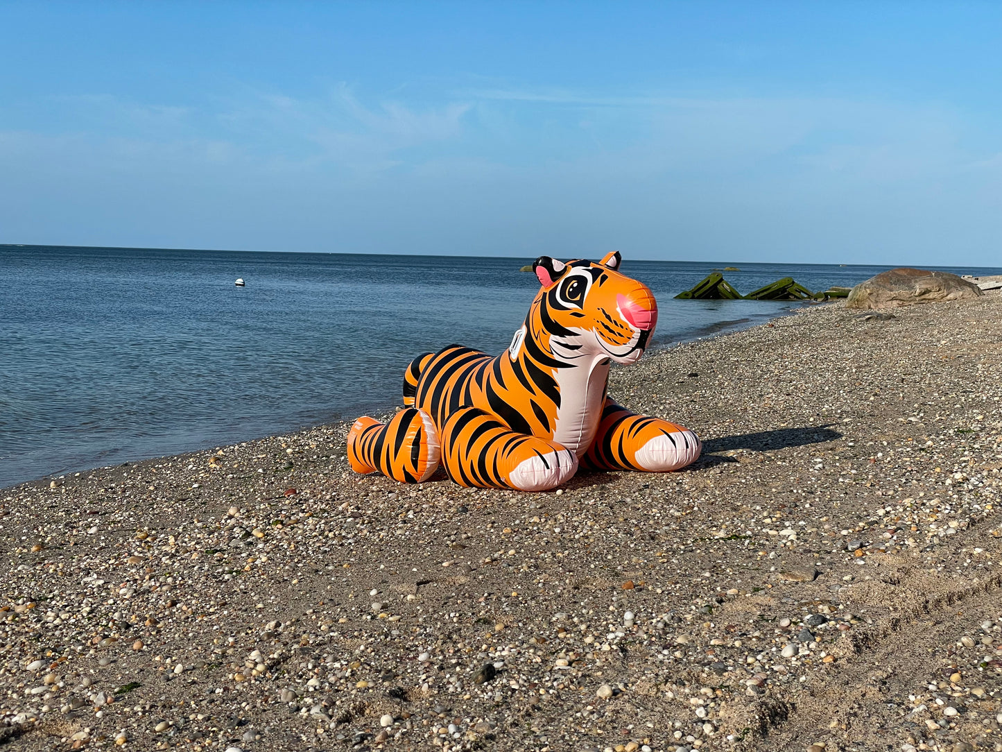 Summer waves tiger inflatable
