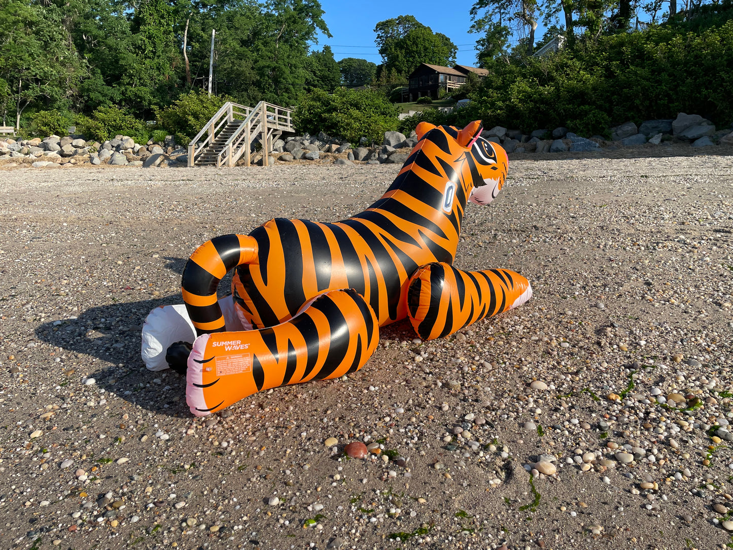 Summer waves tiger inflatable