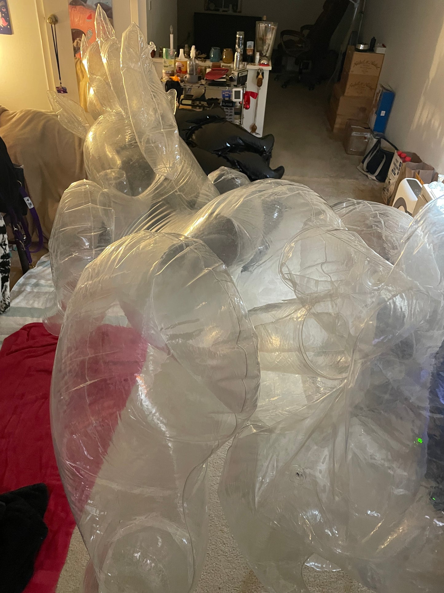 Clear sph unicorn inflatable vid