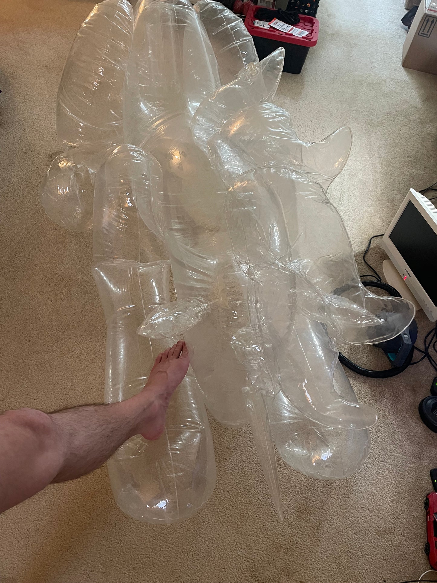 Clear sph unicorn inflatable vid