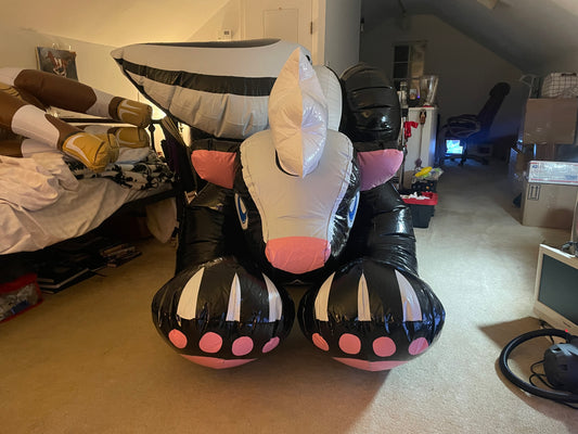 Black iw skunk custom vid