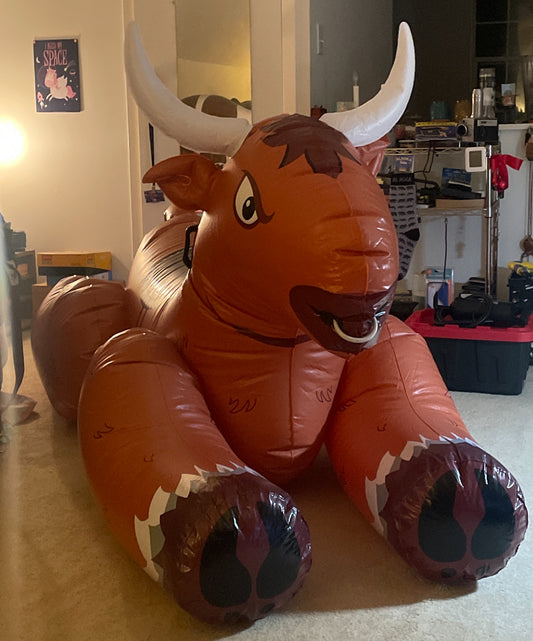 Bravostar bull video